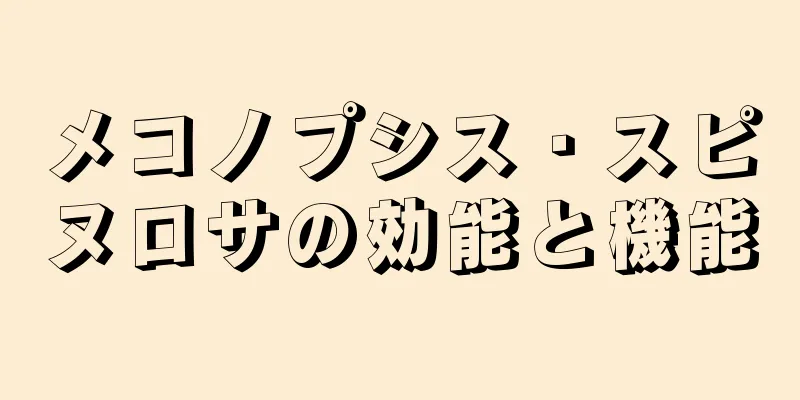 メコノプシス・スピヌロサの効能と機能
