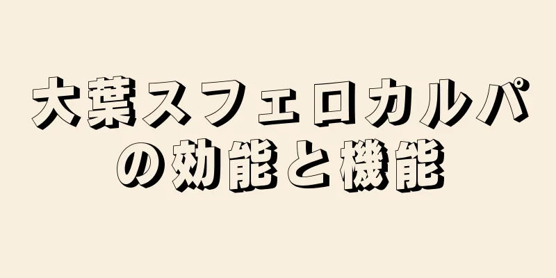 大葉スフェロカルパの効能と機能
