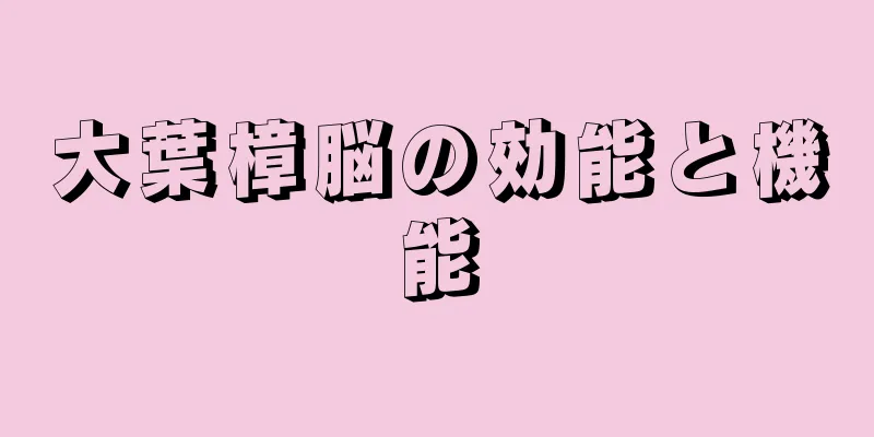 大葉樟脳の効能と機能