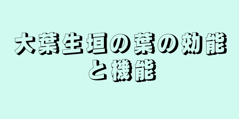 大葉生垣の葉の効能と機能