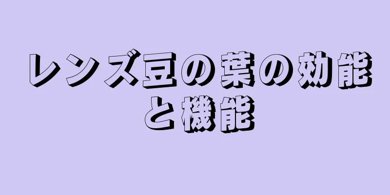 レンズ豆の葉の効能と機能