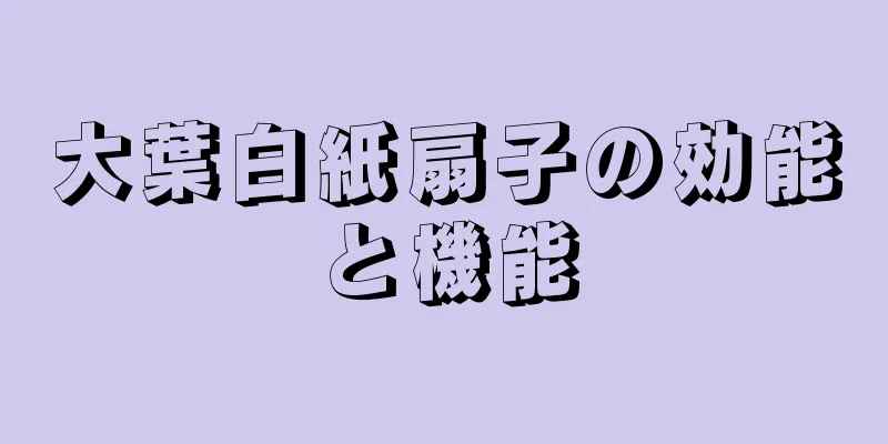 大葉白紙扇子の効能と機能