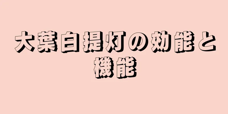大葉白提灯の効能と機能