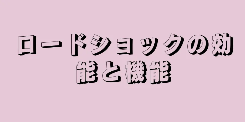 ロードショックの効能と機能