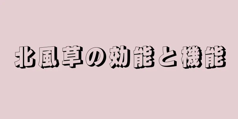 北風草の効能と機能