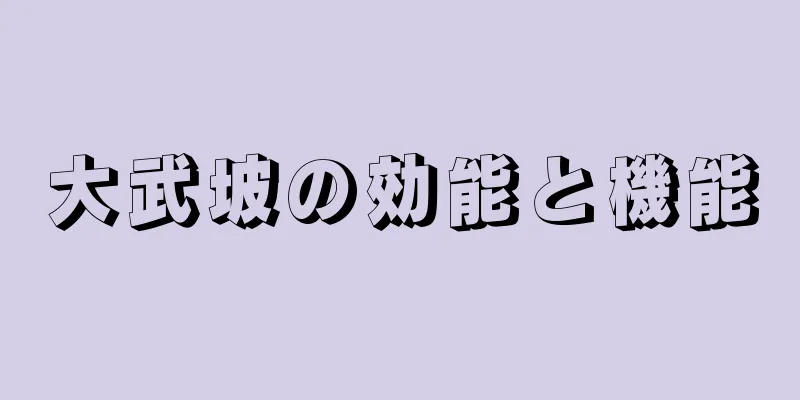 大武坡の効能と機能
