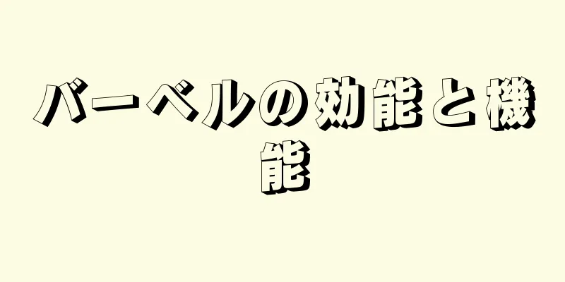バーベルの効能と機能