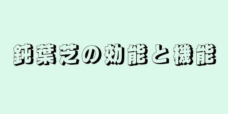 鈍葉芝の効能と機能