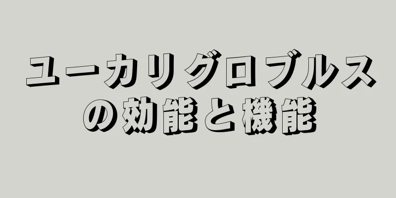 ユーカリグロブルスの効能と機能