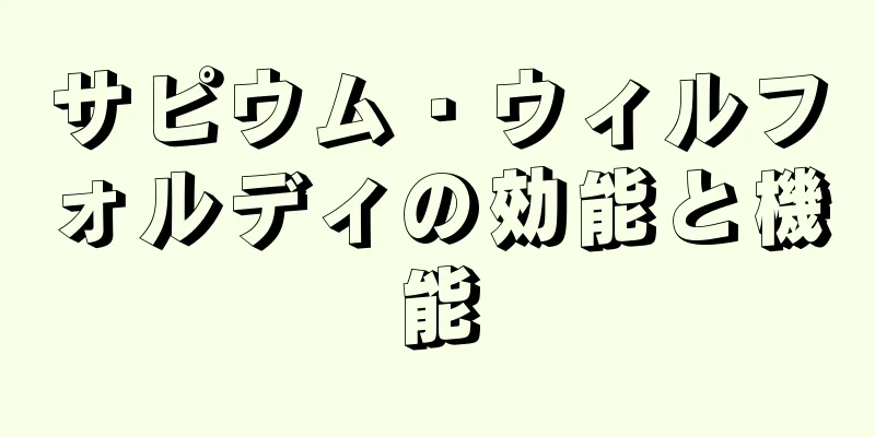 サピウム・ウィルフォルディの効能と機能