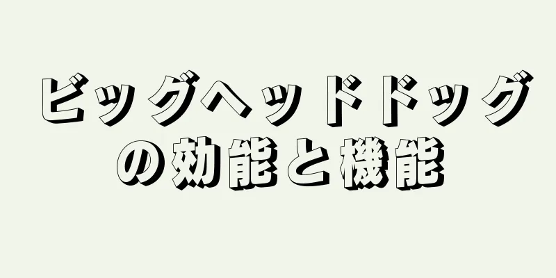 ビッグヘッドドッグの効能と機能
