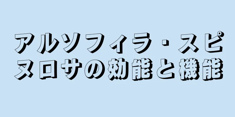 アルソフィラ・スピヌロサの効能と機能