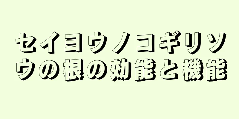 セイヨウノコギリソウの根の効能と機能