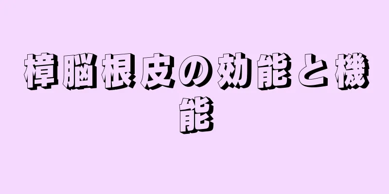 樟脳根皮の効能と機能
