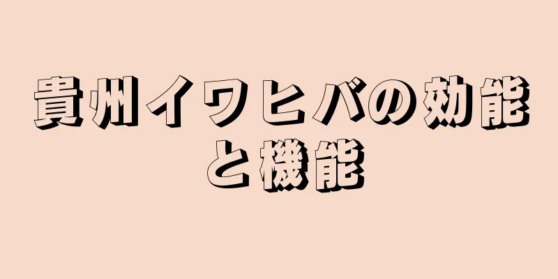 貴州イワヒバの効能と機能