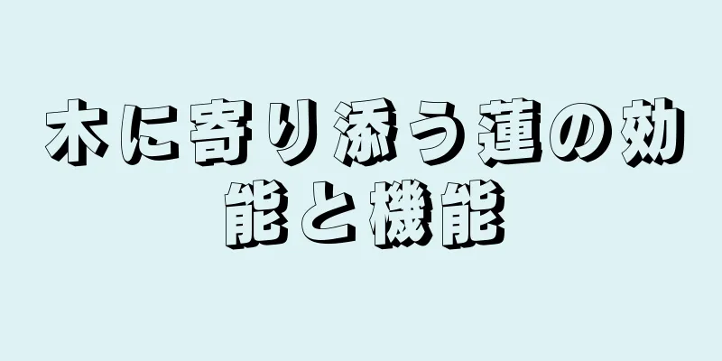木に寄り添う蓮の効能と機能