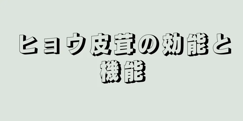 ヒョウ皮茸の効能と機能