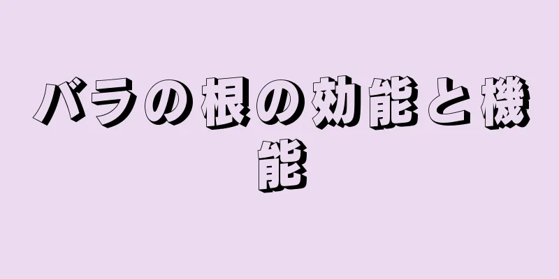 バラの根の効能と機能
