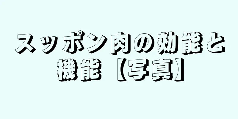 スッポン肉の効能と機能【写真】