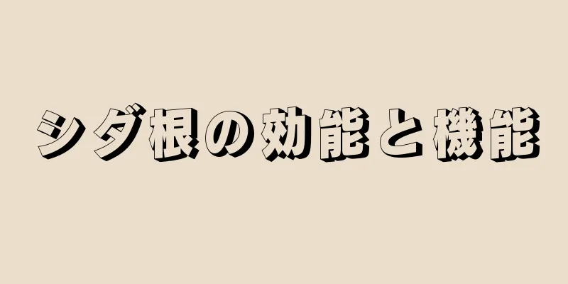 シダ根の効能と機能