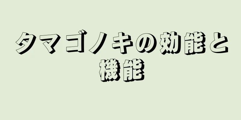 タマゴノキの効能と機能