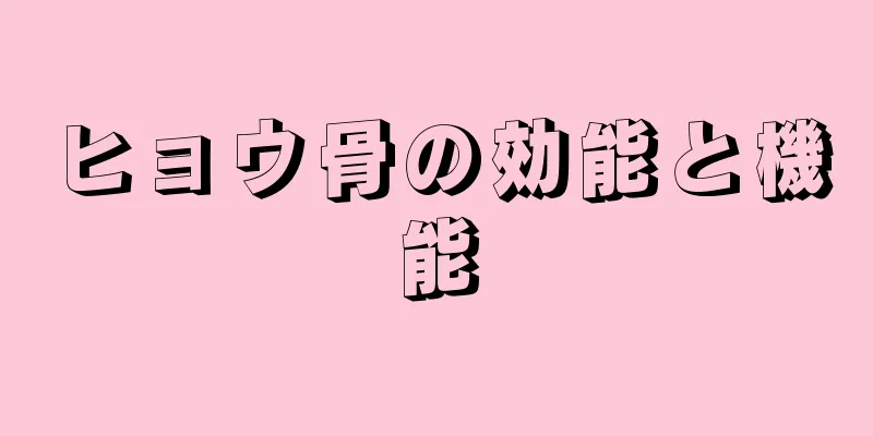 ヒョウ骨の効能と機能