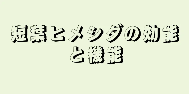 短葉ヒメシダの効能と機能