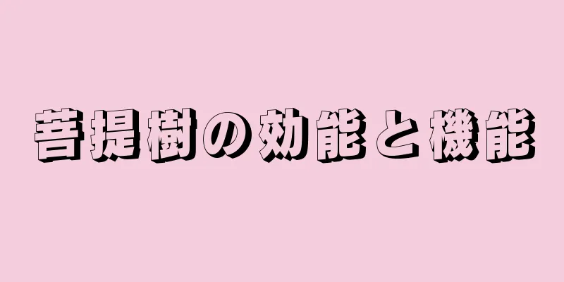菩提樹の効能と機能