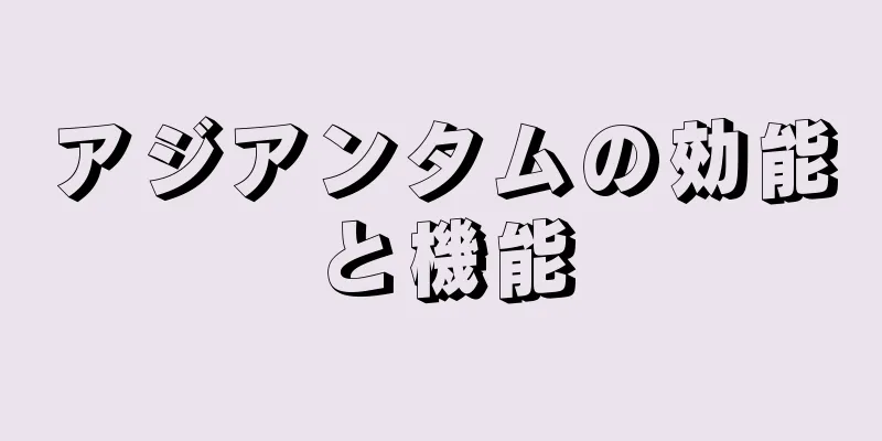 アジアンタムの効能と機能
