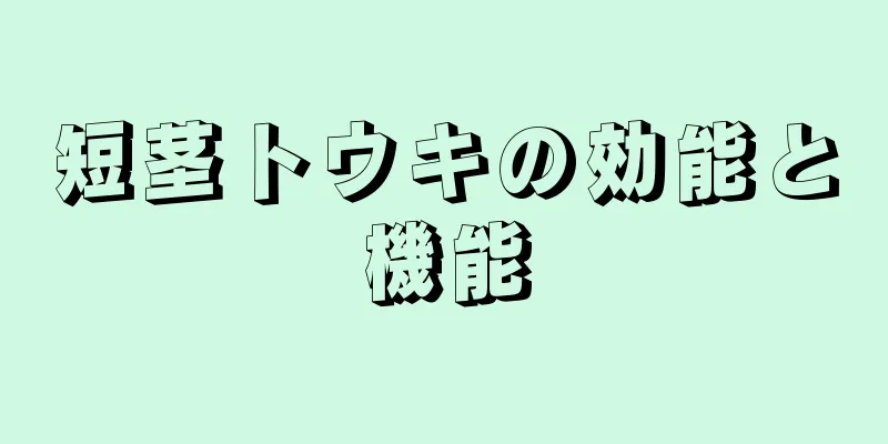 短茎トウキの効能と機能