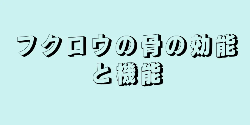 フクロウの骨の効能と機能