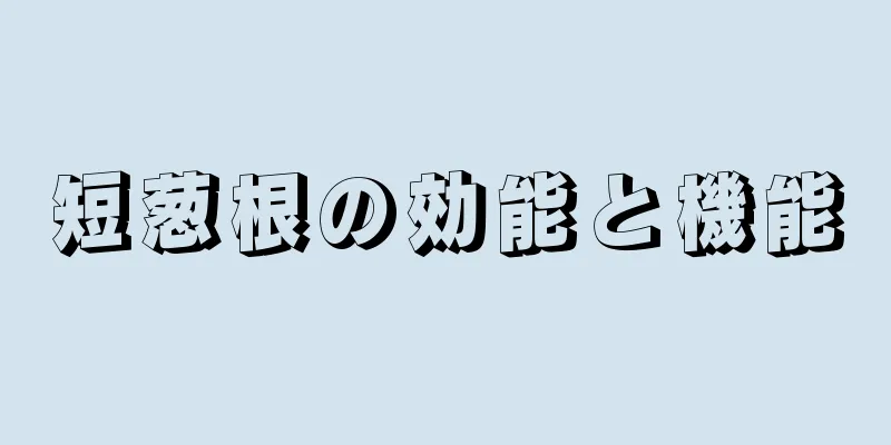 短葱根の効能と機能