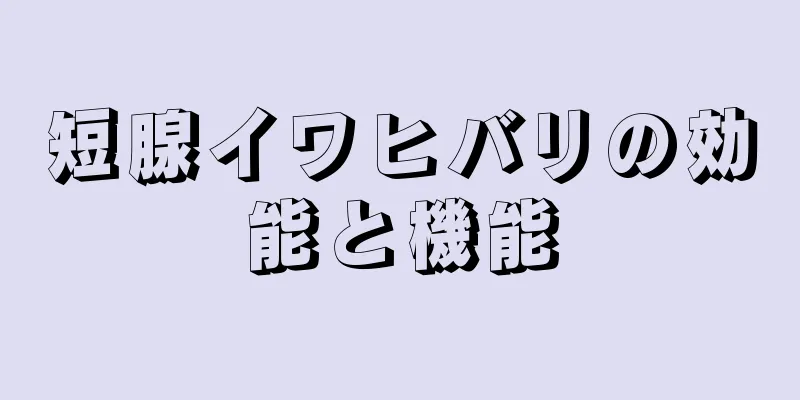 短腺イワヒバリの効能と機能