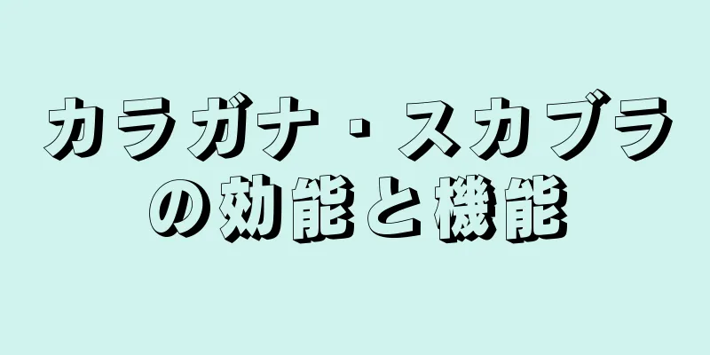 カラガナ・スカブラの効能と機能