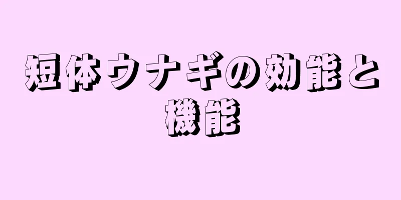 短体ウナギの効能と機能