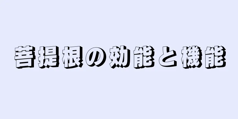 菩提根の効能と機能