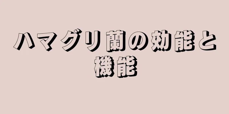 ハマグリ蘭の効能と機能