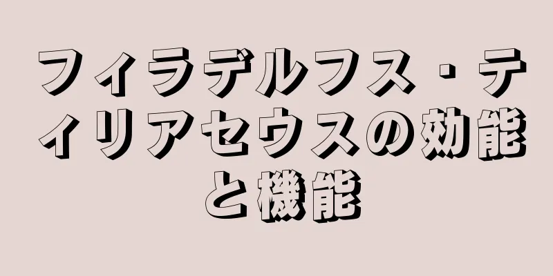 フィラデルフス・ティリアセウスの効能と機能