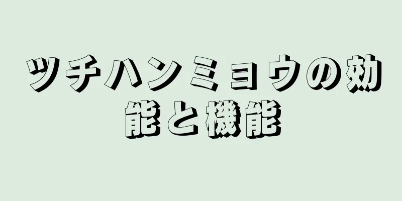 ツチハンミョウの効能と機能