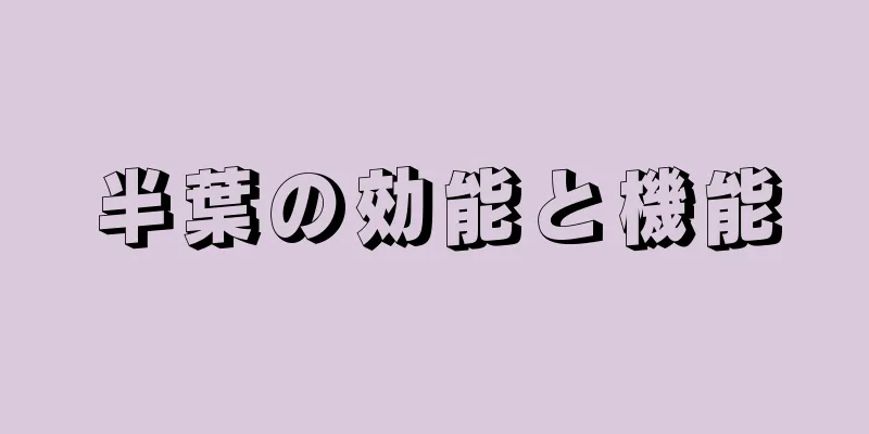 半葉の効能と機能