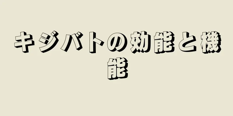 キジバトの効能と機能