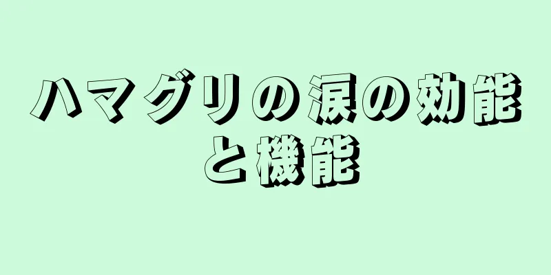 ハマグリの涙の効能と機能