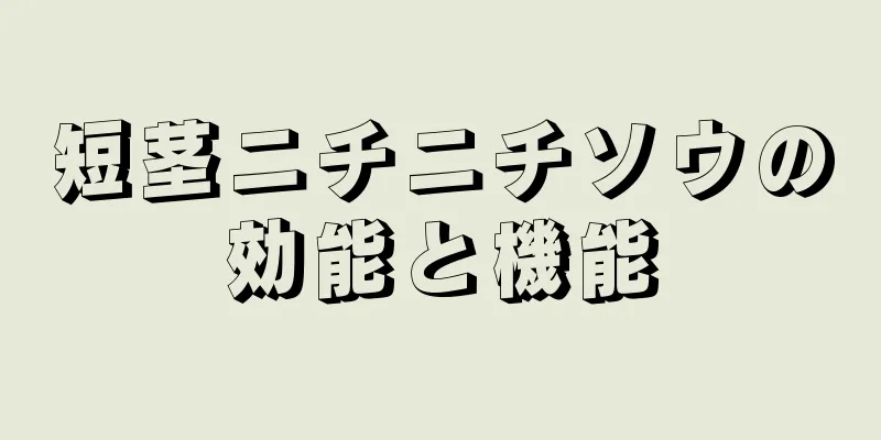 短茎ニチニチソウの効能と機能