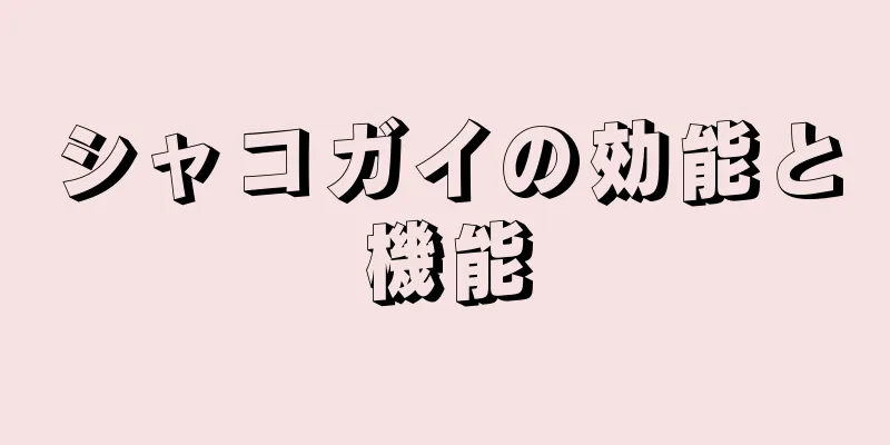 シャコガイの効能と機能