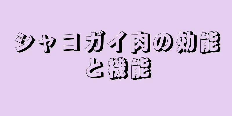 シャコガイ肉の効能と機能