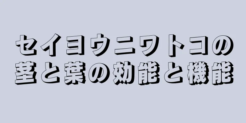 セイヨウニワトコの茎と葉の効能と機能