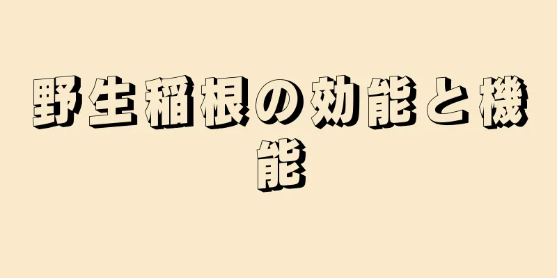 野生稲根の効能と機能
