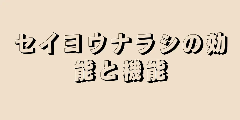 セイヨウナラシの効能と機能