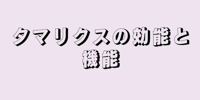 タマリクスの効能と機能