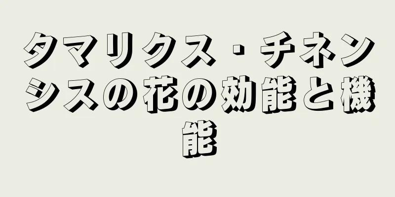 タマリクス・チネンシスの花の効能と機能
